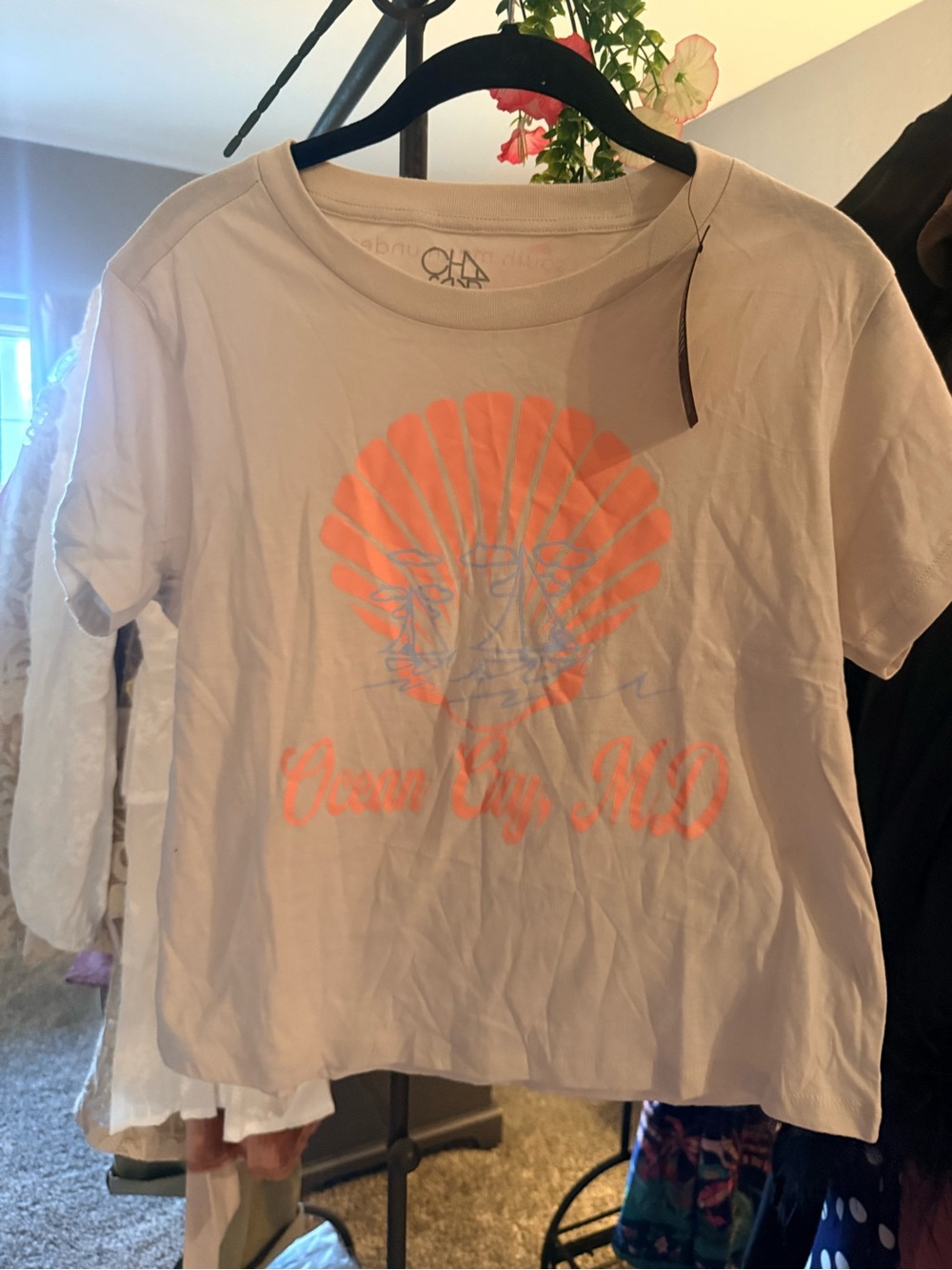 Chaser Cream Graphic Logo Tee - Light Sage Print